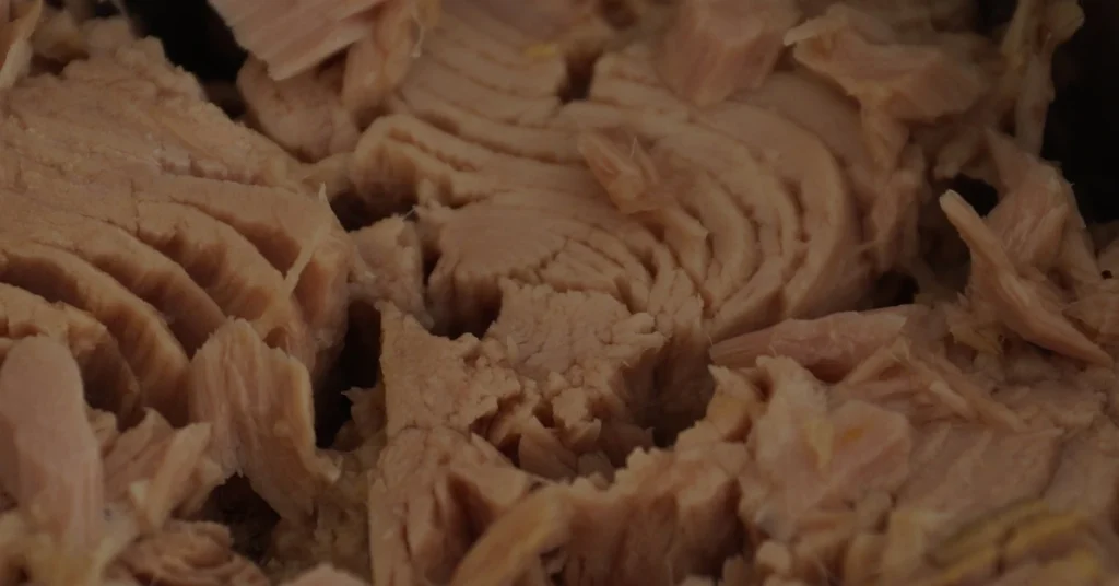 Alternative Canned Tuna