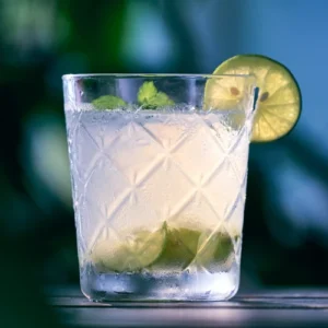 Low Carb Gin Drink Recipe